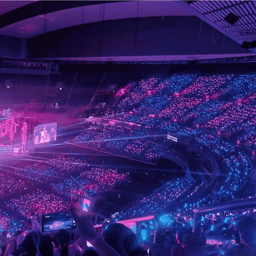 Concert Glow Sticks